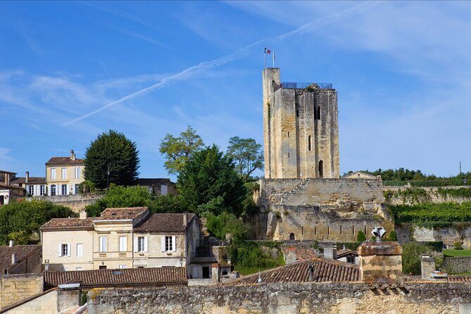 From Bordeaux: Saint-Émilion Half-Day Trip with Wine Tasting - An In-Depth Look at the Saint-Émilion Half-Day Tour