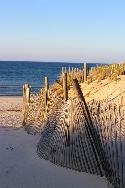 From Boston: Cape Cod and Plymouth Day Tour - Final thoughts