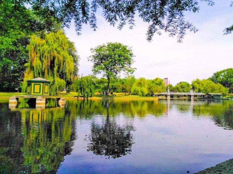 From Boston:Public Garden,Beacon Hill&More Half Day tour - From Boston: Public Garden, Beacon Hill & More Half Day Tour – A Practical Guide