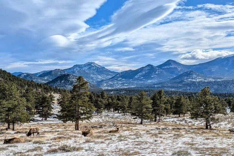 From Boulder or Denver: Rocky Mountain National Park Tour - Exploring the Rocky Mountain National Park: What to Expect