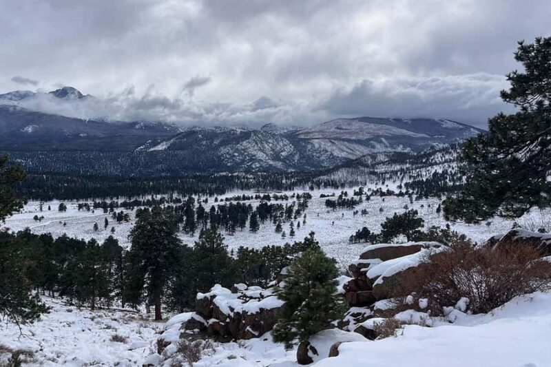 From Boulder or Denver: Rocky Mountain National Park Tour - Detailed Breakdown of the Itinerary