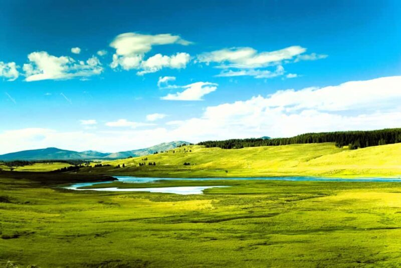 From Bozeman: Yellowstone Day Tour (Upper Loop) - A Detailed Look at the Yellowstone Upper Loop Tour