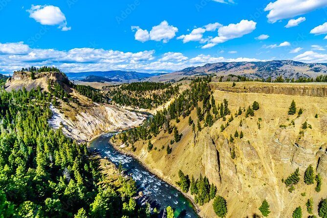 From Bozeman Yellowstone Full Day Tour Upper Loop - Discover Yellowstone’s Upper Loop in a Day