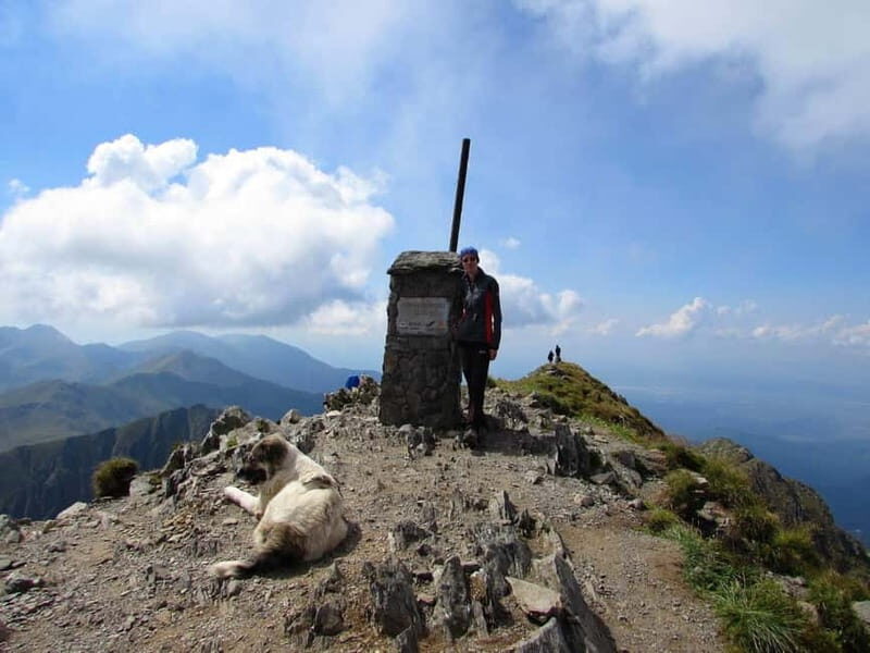 From Braov: 3-Day Fgra Mountains Hiking Adventure - What We Loved About This Tour