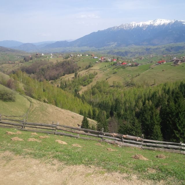 From Braov: Half or Full Day Transylvania Jeep Tour - Key Points