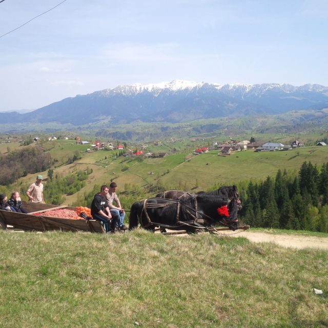 From Braov: Half or Full Day Transylvania Jeep Tour - Who Will Love This Tour?