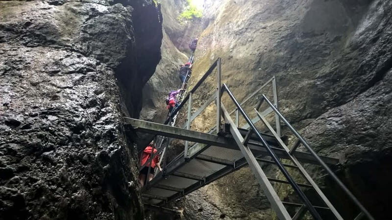 From Brasov: Day Trip to the Seven Ladders Canyon - The Experience from a Traveler’s Perspective