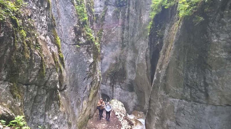 From Brasov: Day Trip to the Seven Ladders Canyon - Why This Tour Is a Great Choice