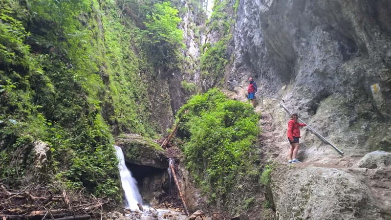 From Brasov: Day Trip to the Seven Ladders Canyon - The Sum Up