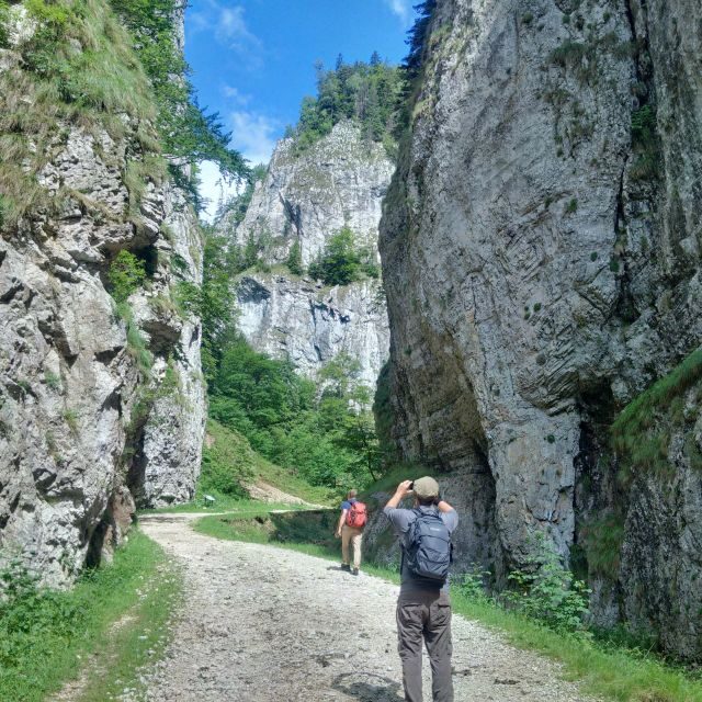 From Brasov: Piatra Craiului National Park 2-Day Guided Trek - Final Thoughts