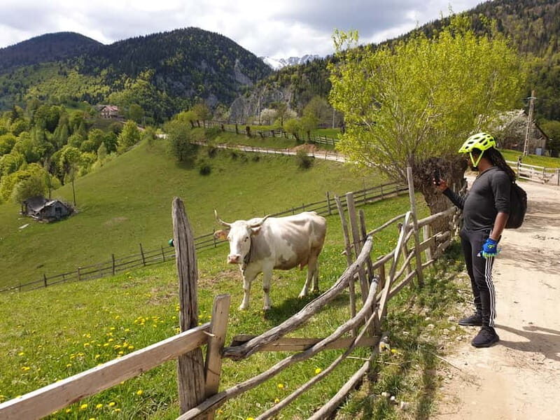 From Brasov : Piatra Craiului National Park on Ebike - Key Points