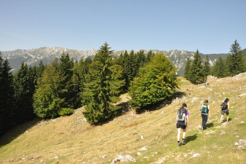 From Brasov: Piatra Craiului National Park Private Day Tour - From Brasov: Piatra Craiului National Park Private Day Tour – A Complete Guide