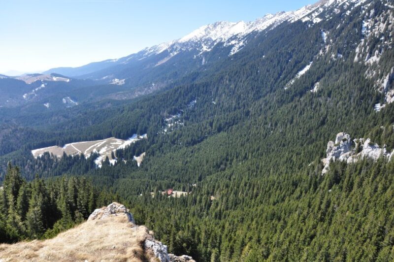 From Brasov: Piatra Craiului National Park Private Day Tour - Final Thoughts