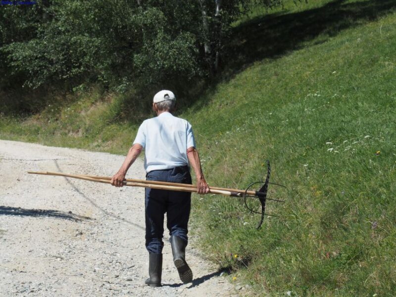 From Brasov: Romanian Mountain Villages Day Tour - Discovering the Heart of Rural Romania
