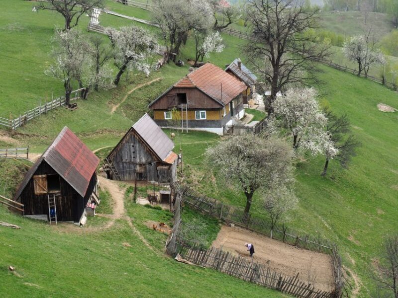 From Brasov: Romanian Mountain Villages Day Tour - Who Should Consider This Tour?