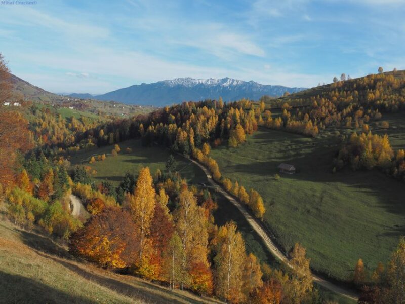From Brasov: Romanian Mountain Villages Day Tour - Final Thoughts