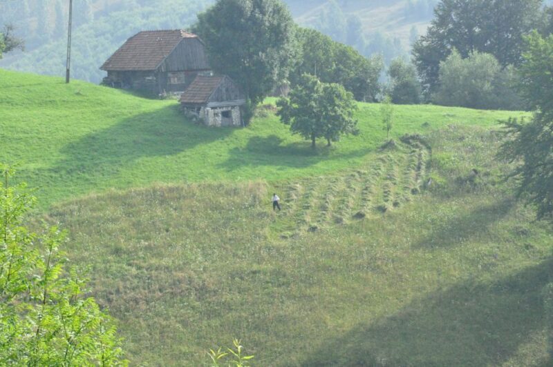 From Brasov: Romanian Mountain Villages Day Tour - FAQ