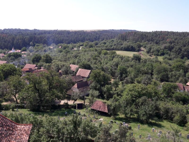 From Brasov: Sighisoara, Viscri, and Rupea Unesco Day Trip - A Deep Dive into the Transylvania Day Trip from Brasov