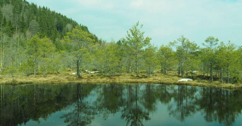From Brasov: Small-Group Volcanic Lake Day Trip - A Deep Dive Into the Experience