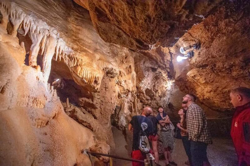 From Bratislava: Castles, Nature & Culture Guided Day Tour - Authentic Encounters and Practical Insights