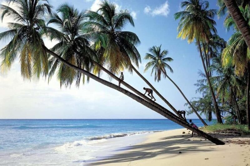 From Bridgetown: Barbados Coast To Coast Half-Day Tour - A Detailed Look at the Barbados Coast To Coast Half-Day Tour