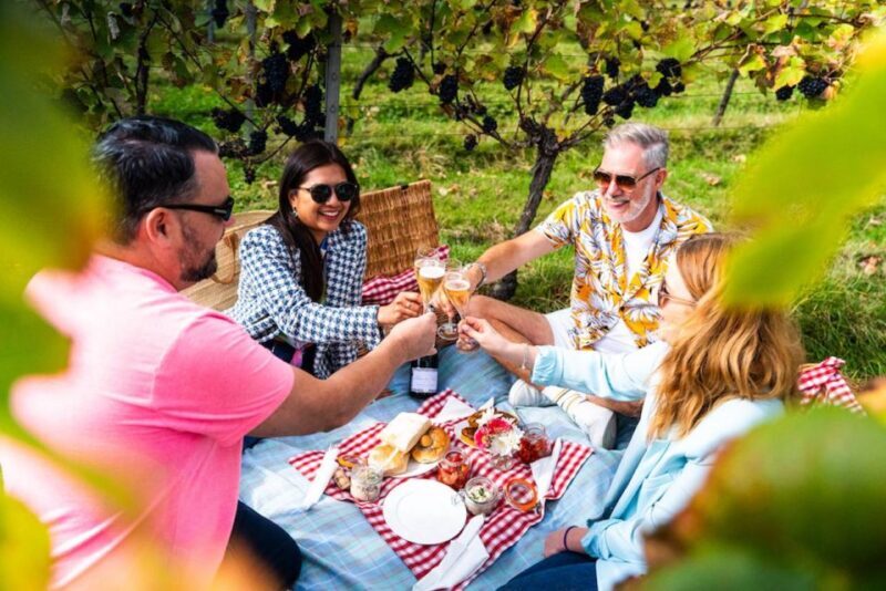 From Brighton: Sussex Wine Tour on a Vintage Bus with Lunch - Final Thoughts