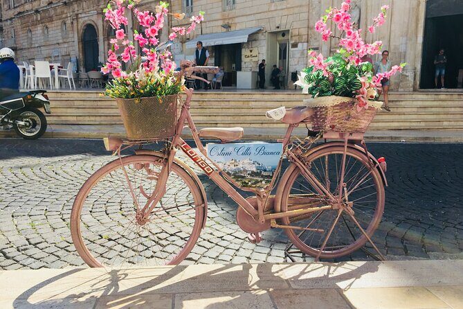 From Brindisi. Ostuni, Alberobello and Polignano a Mare Tour - Who Will Love This Tour?