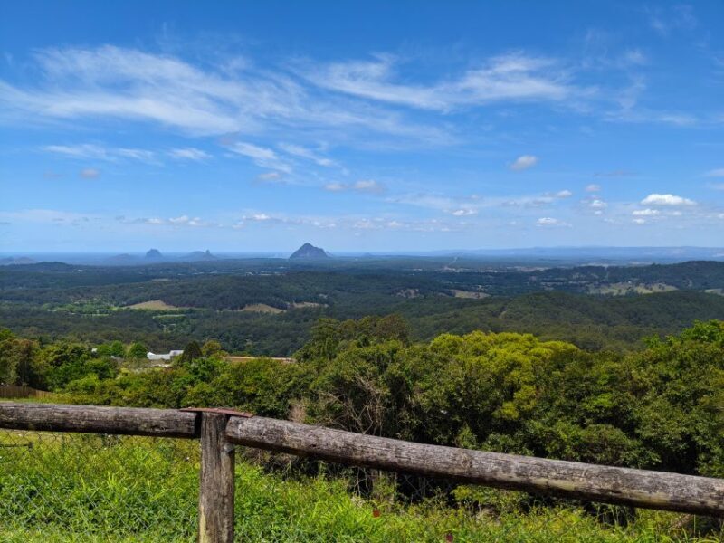 From Brisbane: Day Trip to Noosa, Glass House Mtns and Zoo - Who Will Enjoy This Tour?