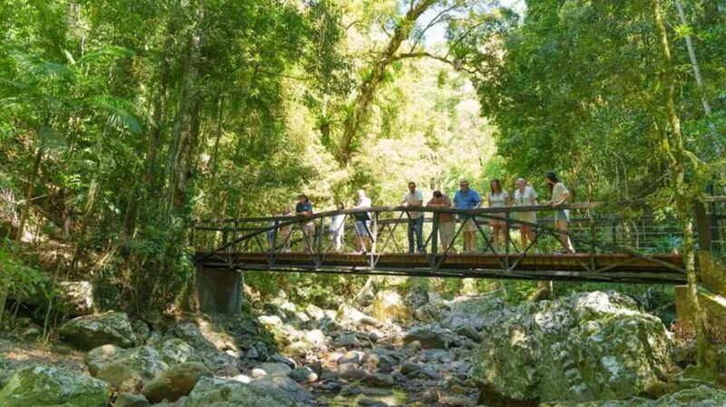 From Brisbane: Gold Coast Day Tour with Lunch - Final Thoughts: Who Would Love This Tour?