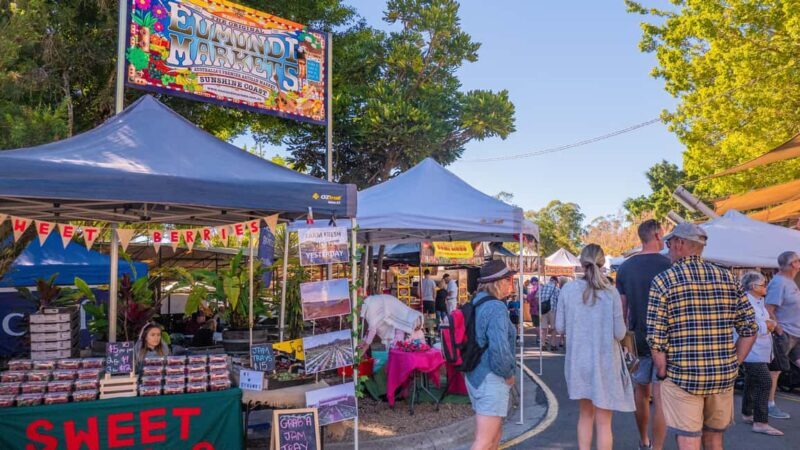 From Brisbane: Noosa, Eumundi and Montville Full Day Tour - Key Points