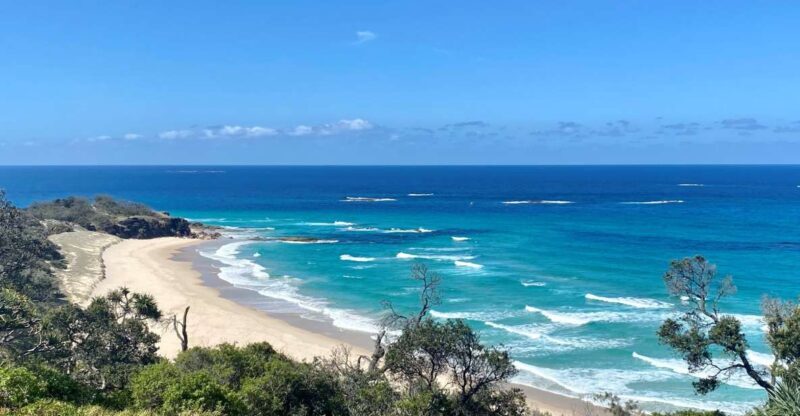 From Brisbane: North Stradbroke Island Wildlife Adventure - Exploring North Stradbroke Island with a Guided Wildlife Adventure