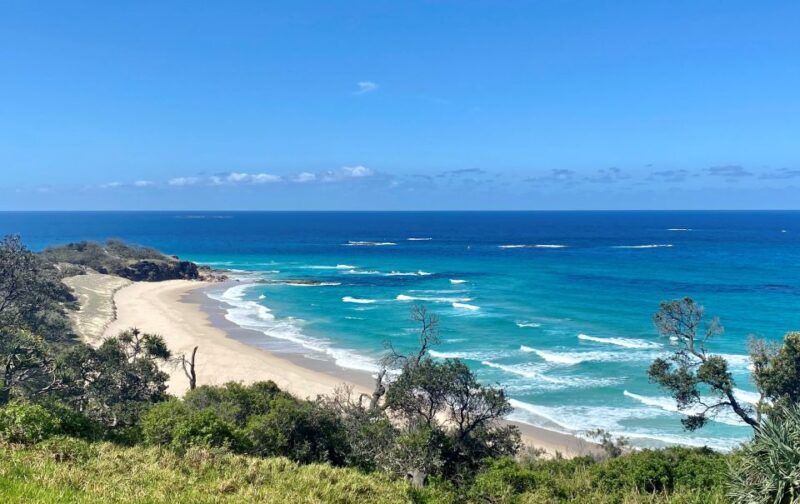 From Brisbane: North Stradbroke Island Wildlife Adventure - Key Points