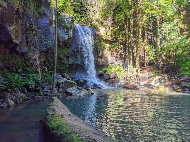From Brisbane: Tamborine Mountain and Paradise Point Tour - Exploring the Highlights of the Tour
