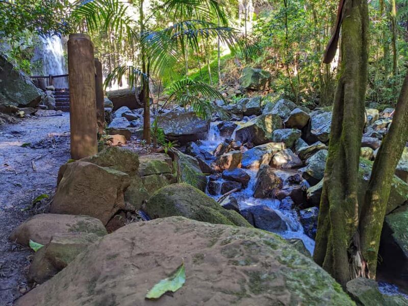 From Brisbane: Tamborine Mountain and Paradise Point Tour - Why We Think This Tour Offers Good Value