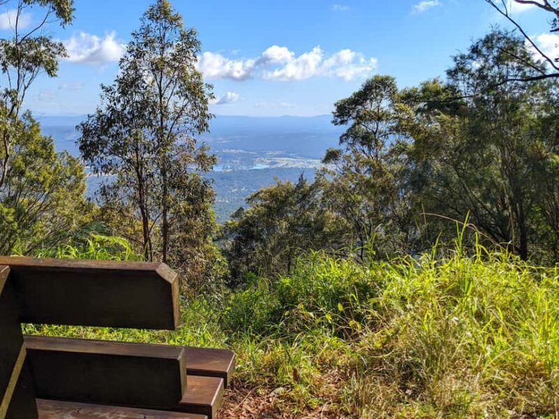From Brisbane: Tamborine Mountain and Paradise Point Tour - Final Thoughts