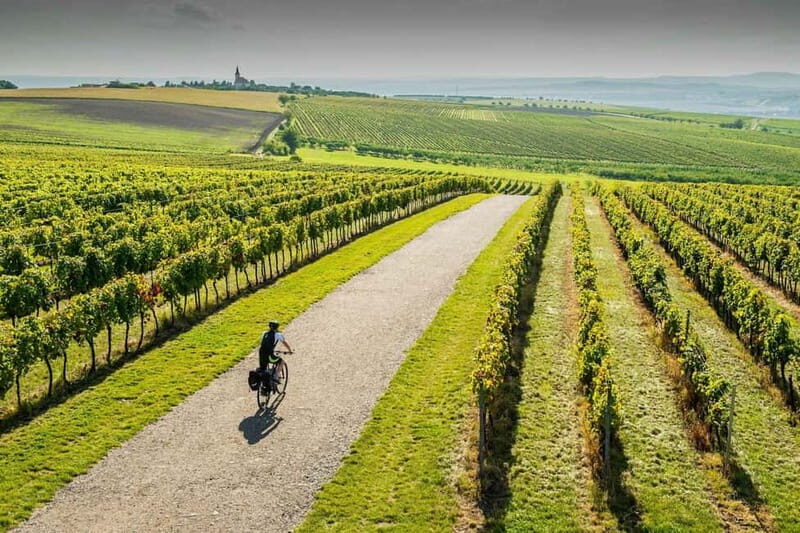 From Brno: Moravian Tuscany E-Bike Tour with Wine Tasting - Key Points