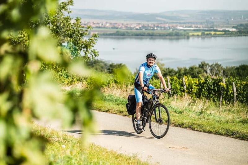 From Brno: Moravian Tuscany E-Bike Tour with Wine Tasting - Who Will Love This Tour?