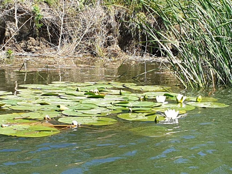 From Bucharest: 2-Day Danube Delta Wonders Small Group Tour - Exploring the Danube Delta: Nature’s Masterpiece