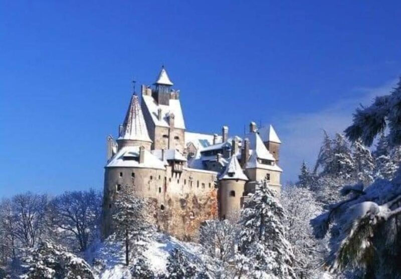 From Bucharest: 2-Day Tour to Brasov and Sighisoara - A Deep Dive into the 2-Day Transylvania Tour from Bucharest