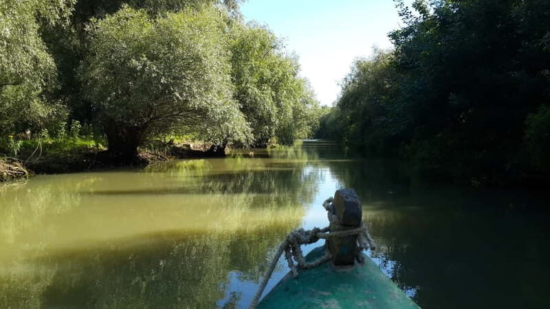 From Bucharest: 3-Day Danube Delta Birdwatching Private Tour - Discovering the Danube Delta: A Natural Wonder