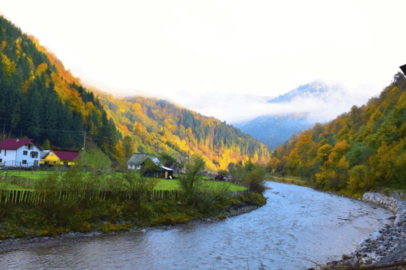 From Bucharest: Bear Sanctuary and 7 Ladders Canyon Day Trip - An Authentic Day in Transylvania: Visiting the Bear Sanctuary and 7 Ladders Canyon