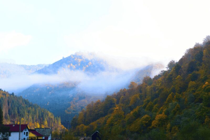 From Bucharest: Bear Sanctuary and 7 Ladders Canyon Day Trip - What’s Included and Practical Tips