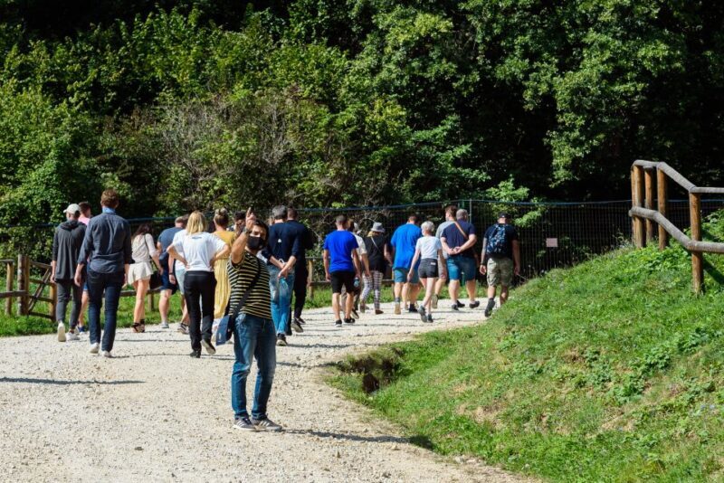 From Bucharest: Bear Sanctuary and Dracula Castle Day Tour - What Makes This Tour Stand Out?