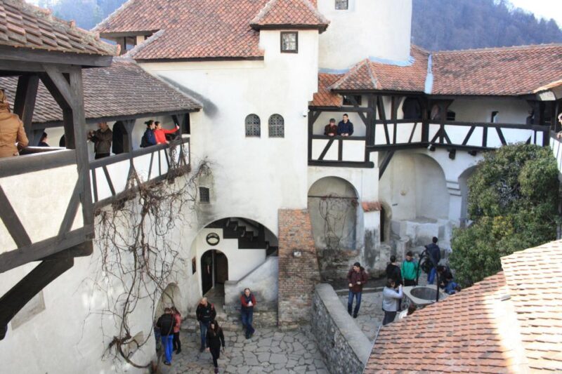From Bucharest: Bear Sanctuary and Dracula Castle Day Tour - Final Thoughts: Who Should Consider This Tour?