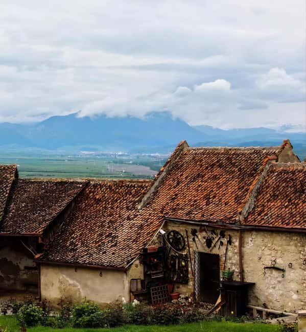 From Bucharest: Bears Sanctuary&Rasnov Fortress Private tour - Key Points