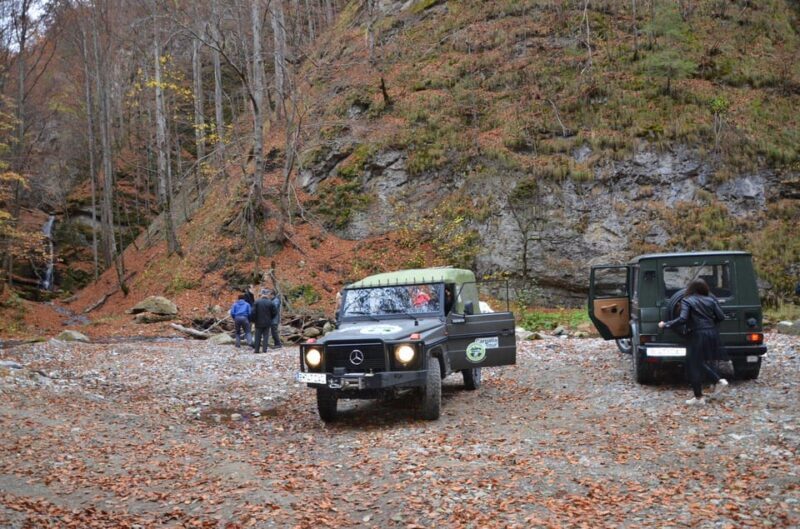 From Bucharest: Brdetu 4x4 Tour with Lunch, Hotel Pick-Up - From Bucharest: Brdetu 4x4 Tour with Lunch, Hotel Pick-Up