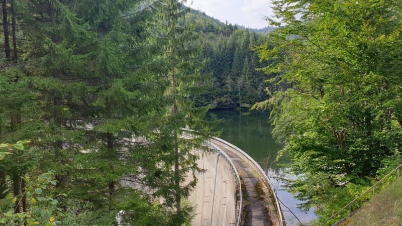 From Bucharest: Brdetu 4x4 Tour with Lunch, Hotel Pick-Up - Who Would Enjoy This Tour?