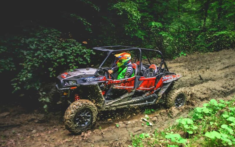 From Bucharest: BUGGY Quad Tour in the Carpathian Mountains - From Bucharest: BUGGY Quad Tour in the Carpathian Mountains