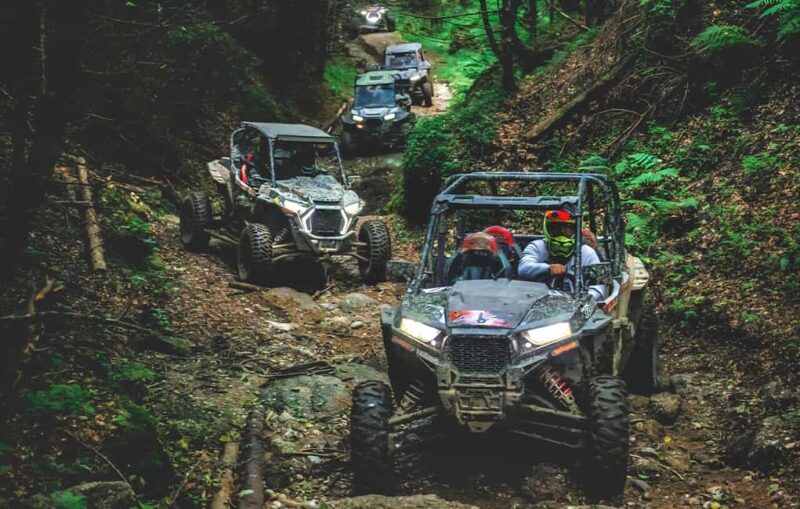 From Bucharest: BUGGY Quad Tour in the Carpathian Mountains - Why It’s a Great Value