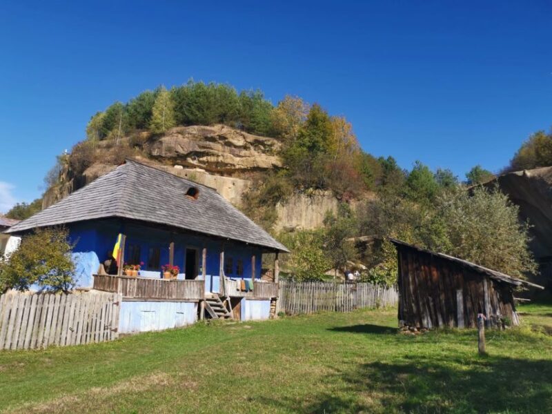 From Bucharest: Carpathian Villages and Sinaia Day Trip - A Practical Look at the Experience